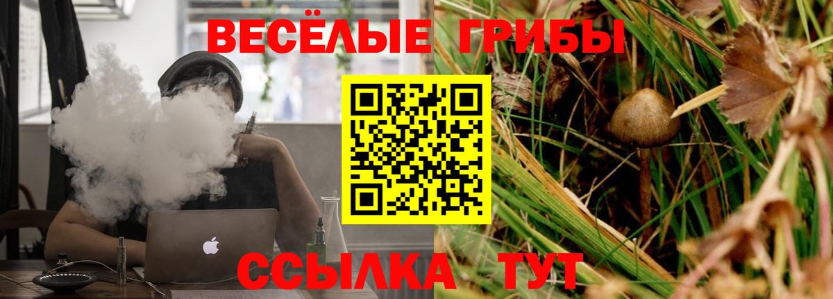 купить  сайты  Вход с VPN  Чебаркуль  Псилоцибиновые грибы ЛСД 